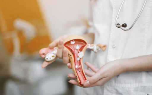 Antibiotici per l’endometriosi?