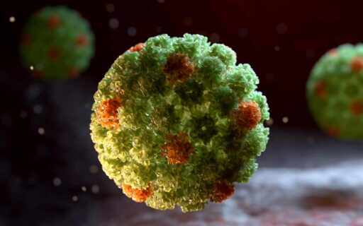 Papilloma virus (HPV): che cos’è, sintomi e vaccino per la prevenzione