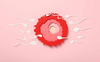 PMA: come affrontare il percorso al meglio